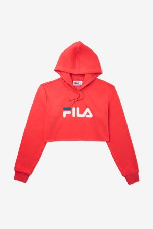 FILA Lalage Cropped Hoodies White / Blue,Womens Clothing | CA.XRQBJD739